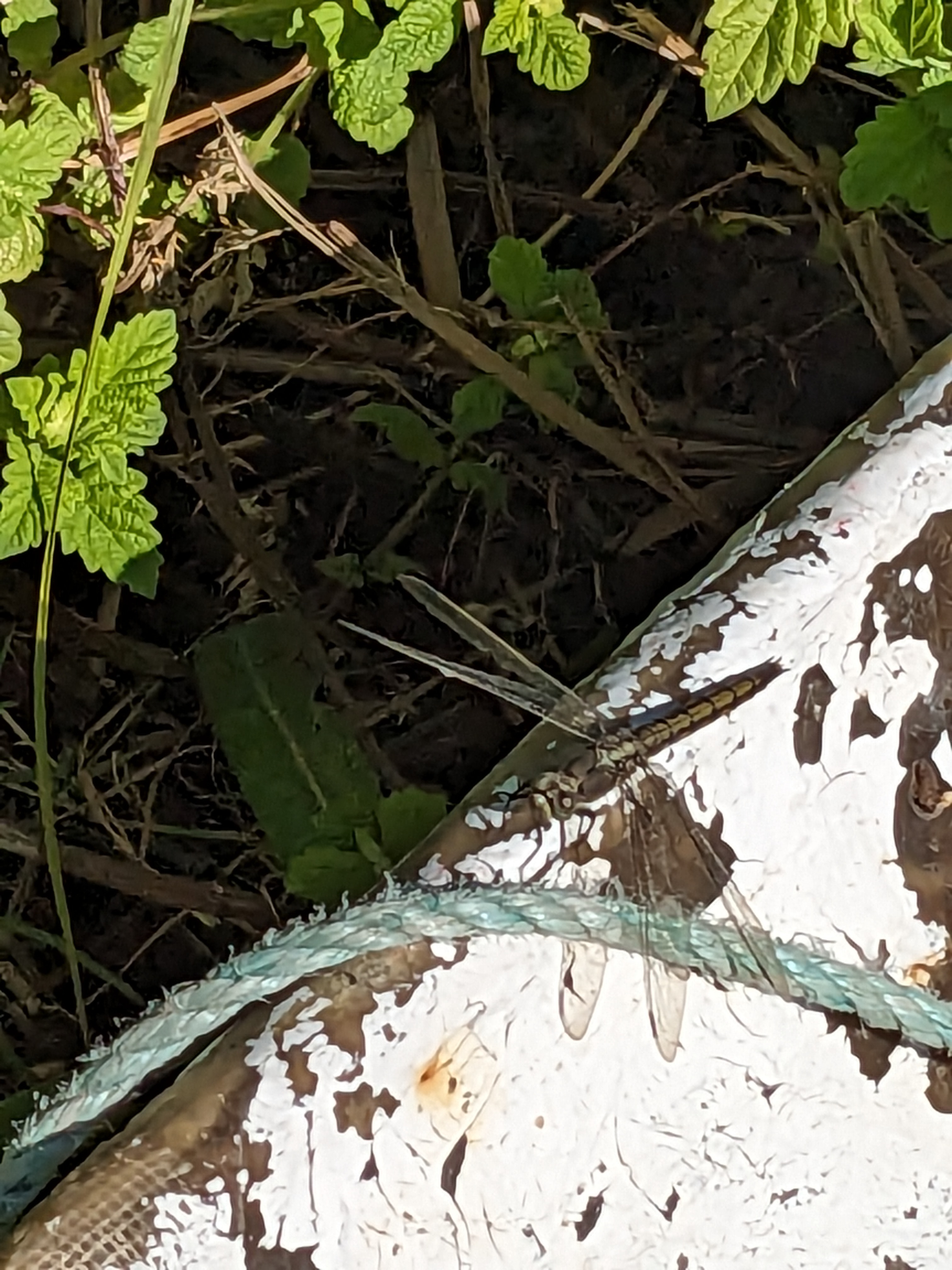 Photo n° 1 de l'avis de Thierry.o fait le 09/08/2023 à 12:06