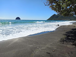 Photo de Le Diamant beach avec rivage droit, long