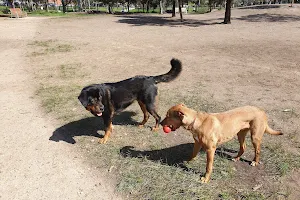 Gilpin Park Fenced Dog Park image