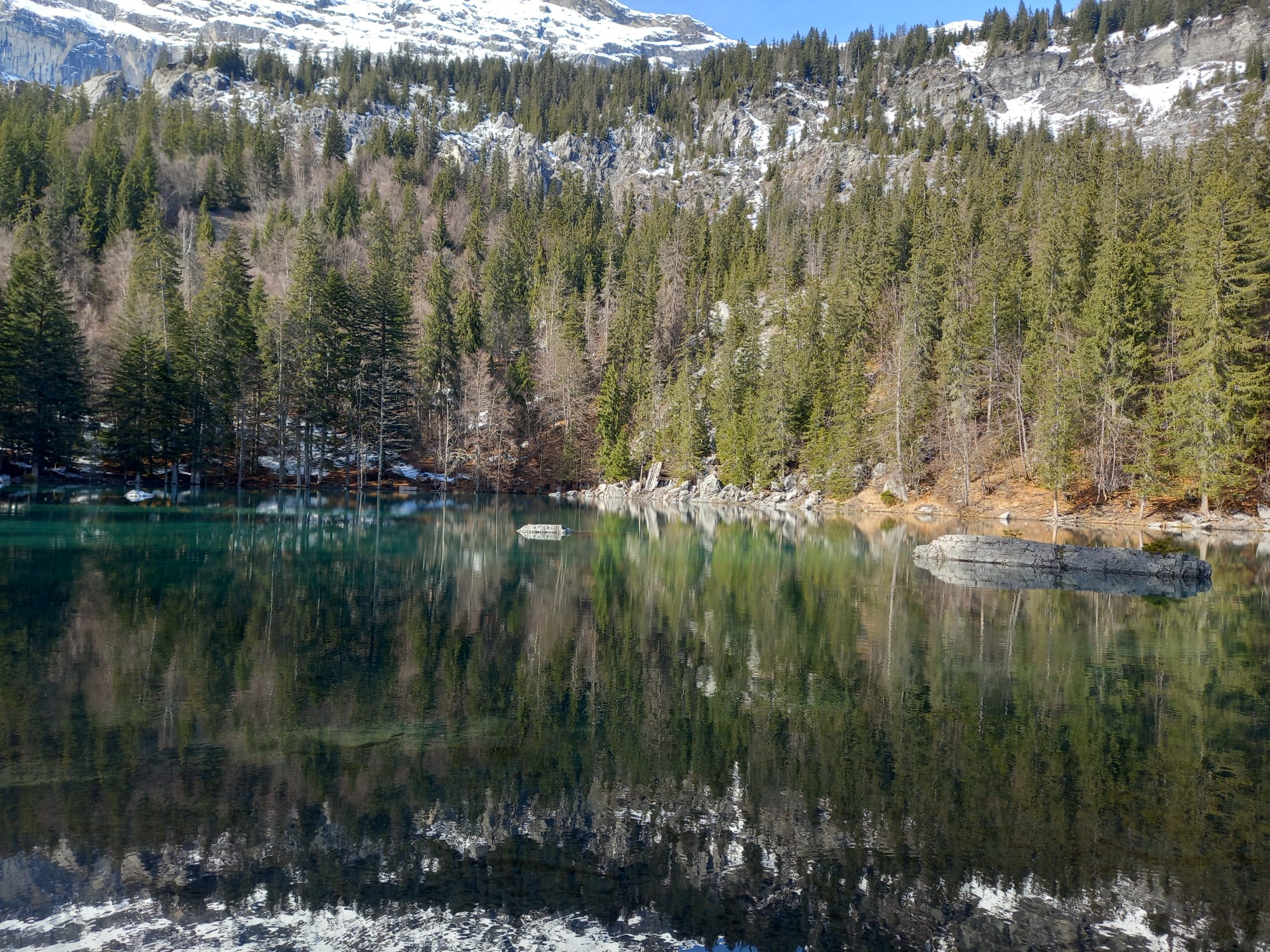Photo n° 2 de l'avis de Françoise.o fait le 17/03/2023 à 06:25