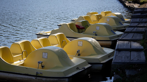 Government Office «Sweetwater Creek State Park», reviews and photos, 1750 Mt Vernon Rd, Lithia Springs, GA 30122, USA