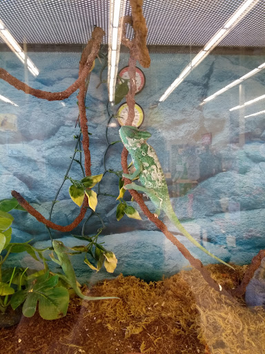 Pet Supply Store «Petco Animal Supplies», reviews and photos, 6596 Youree Dr, Shreveport, LA 71105, USA