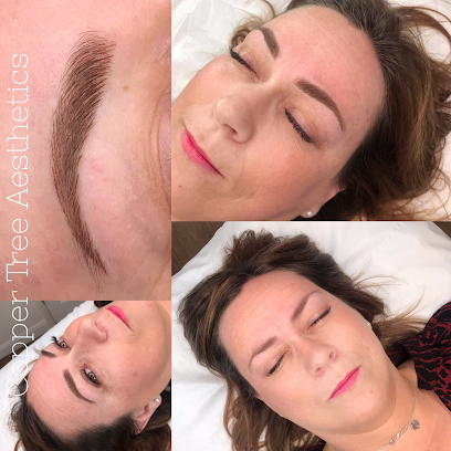 Copper Tree Aesthetics - Semi Permanent Eyebrows
