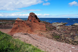 Foto von Dunbar Beach Access Path 2 wilde gegend
