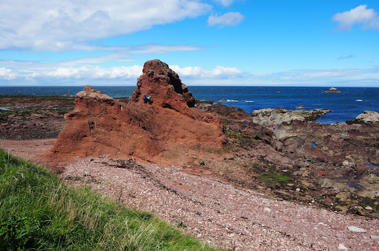 Dunbar Beach Access Path 2