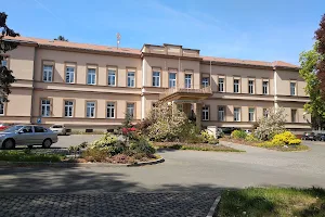 Psychiatrická nemocnice v Dobřanech image