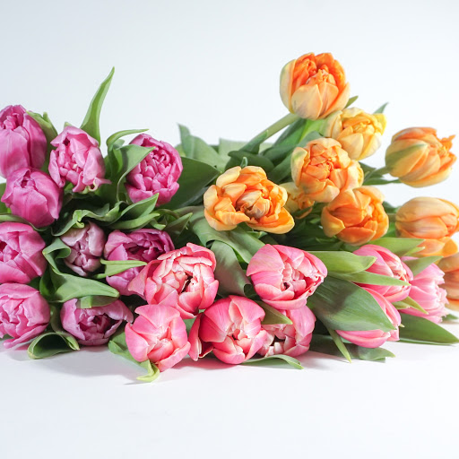 Florist «poppy & pine», reviews and photos, 2501 Dallas St #158, Aurora, CO 80010, USA