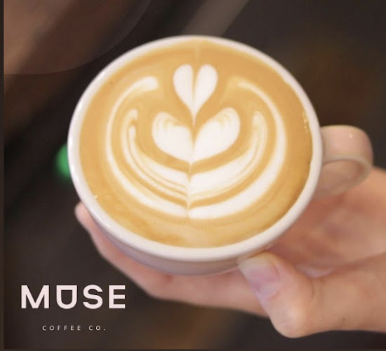 Muse Coffee Co. - Southampton