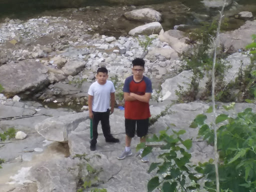 Park «Pecan Grove Park», reviews and photos, 3443 W Kiest Blvd, Dallas, TX 75233, USA