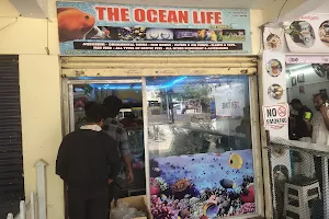 The Ocean Life & Pet World image