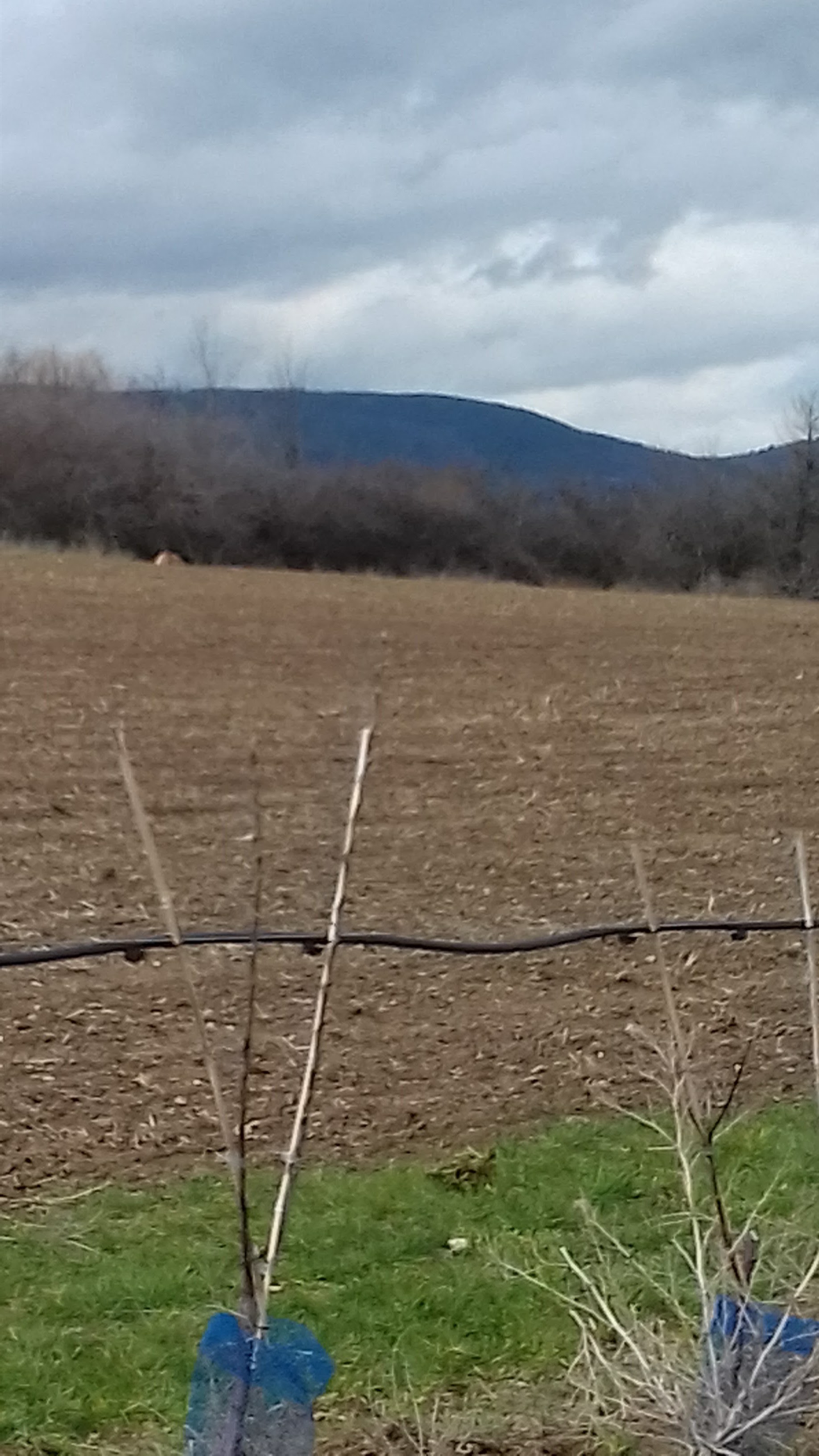 Photo n° 4 de l'avis de Mxtth.. fait le 25/03/2018 à 12:45