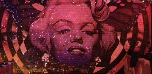 Bar «Tiger Mountain», reviews and photos, 112 N Lexington Ave, Asheville, NC 28801, USA