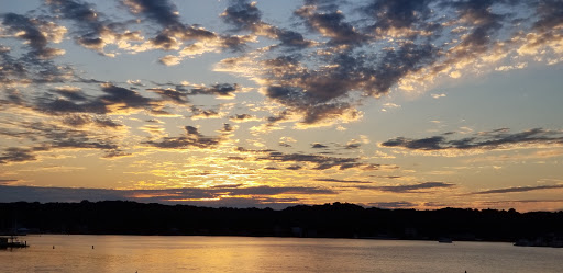 Art Gallery «Amazwi Contemporary Art», reviews and photos, 249 Culver St, Saugatuck, MI 49453, USA