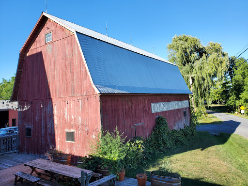 Winery «Cayuga Ridge Estate Winery», reviews and photos, 6800 NY-89, Ovid, NY 14521, USA