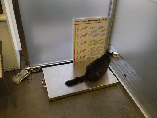 Centro Veterinario Almassora en Almassora