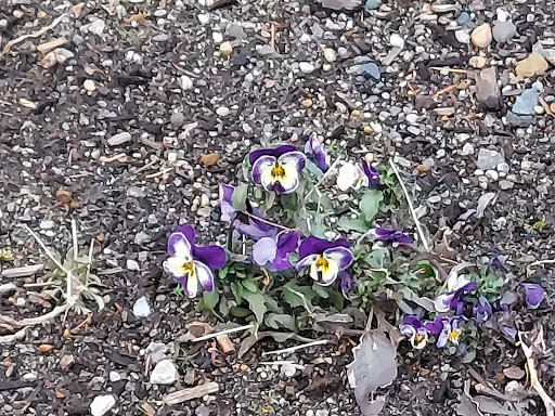 Community Center «SeaTac Community Center», reviews and photos, 13735 24th Ave S, SeaTac, WA 98168, USA