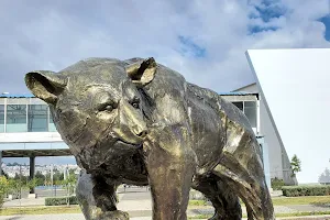 Parque Bicentenario image