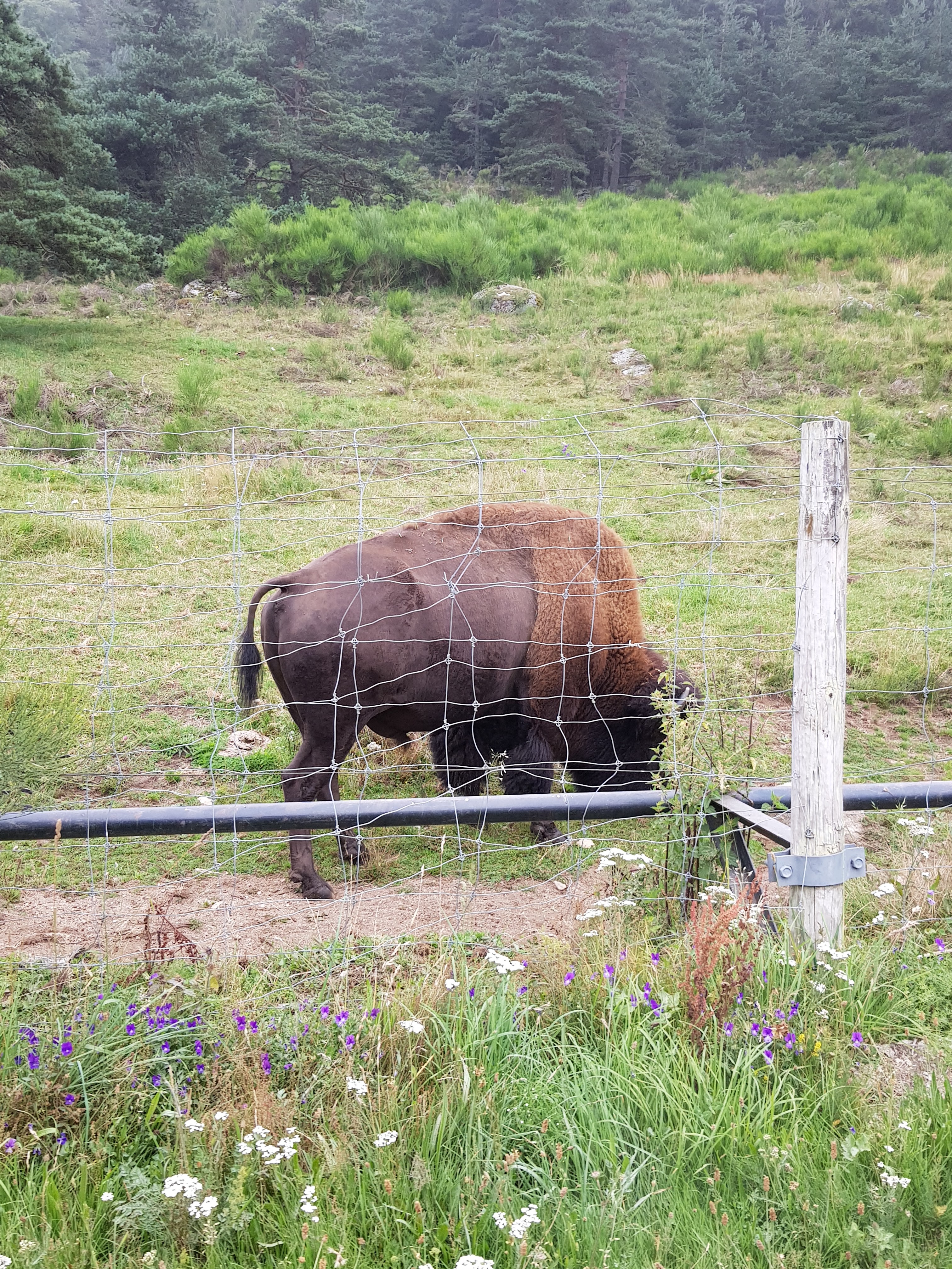 Photo n° 2 de l'avis de Nicolas.e fait le 19/08/2021 à 08:52