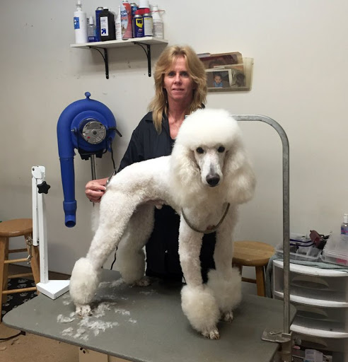 Pet Groomer «Hollywood Houndz Boutique, Spa & Hotel», reviews and photos, 4243 W Lake Mary Blvd, Lake Mary, FL 32746, USA