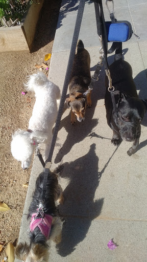 Pet Supply Store «Unleashed by Petco», reviews and photos, 1402 Wilshire Blvd, Santa Monica, CA 90403, USA