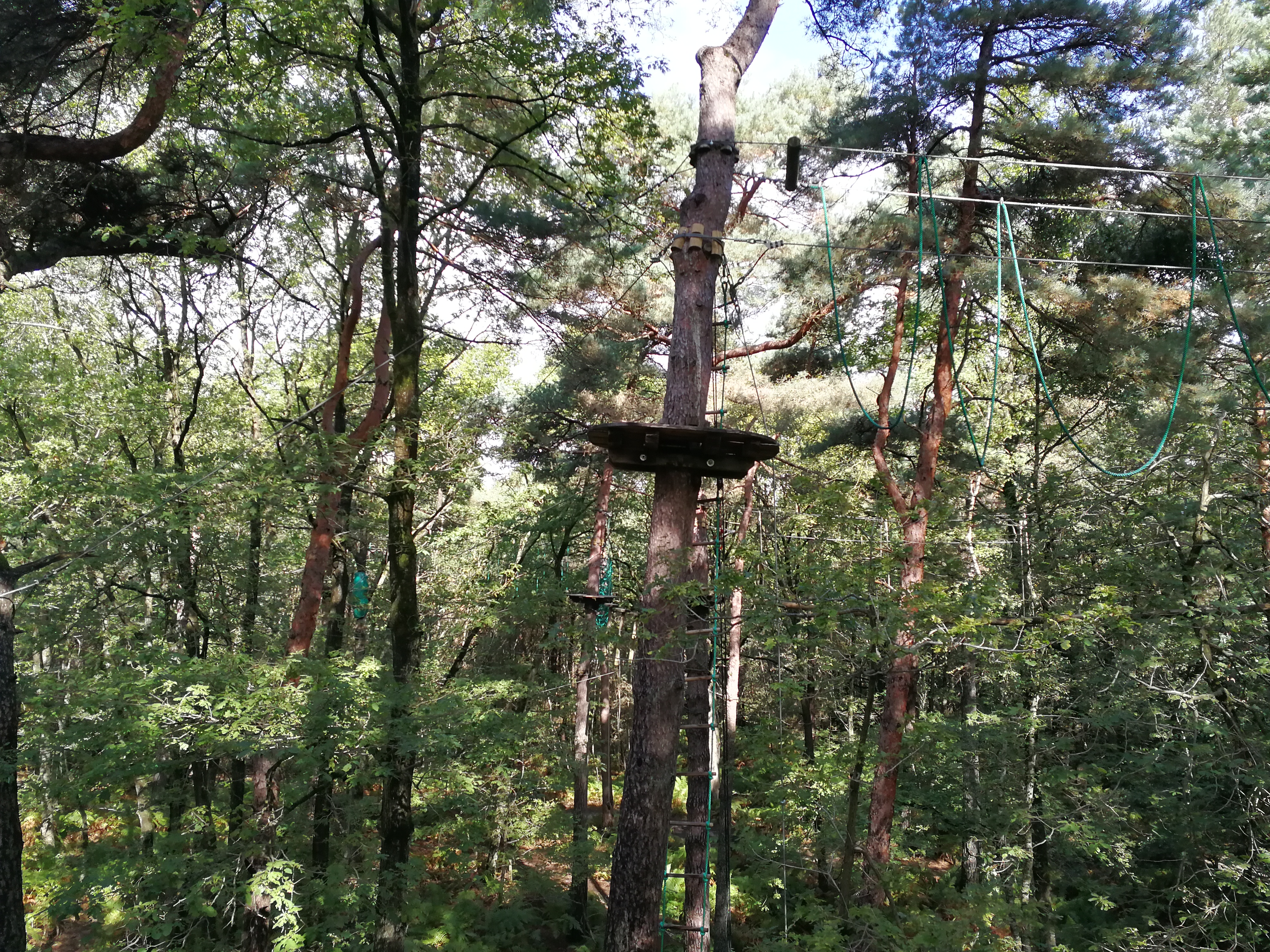 Photo n° 17 de l'avis de Laurent. fait le 15/09/2017 à 18:27