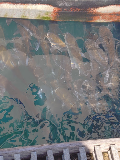 Fishing Charter «Good Time Charter Fishing», reviews and photos, 1111 Love St, Jupiter, FL 33477, USA