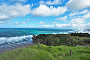 Muriwai Beach Scenic Roadside Lookout