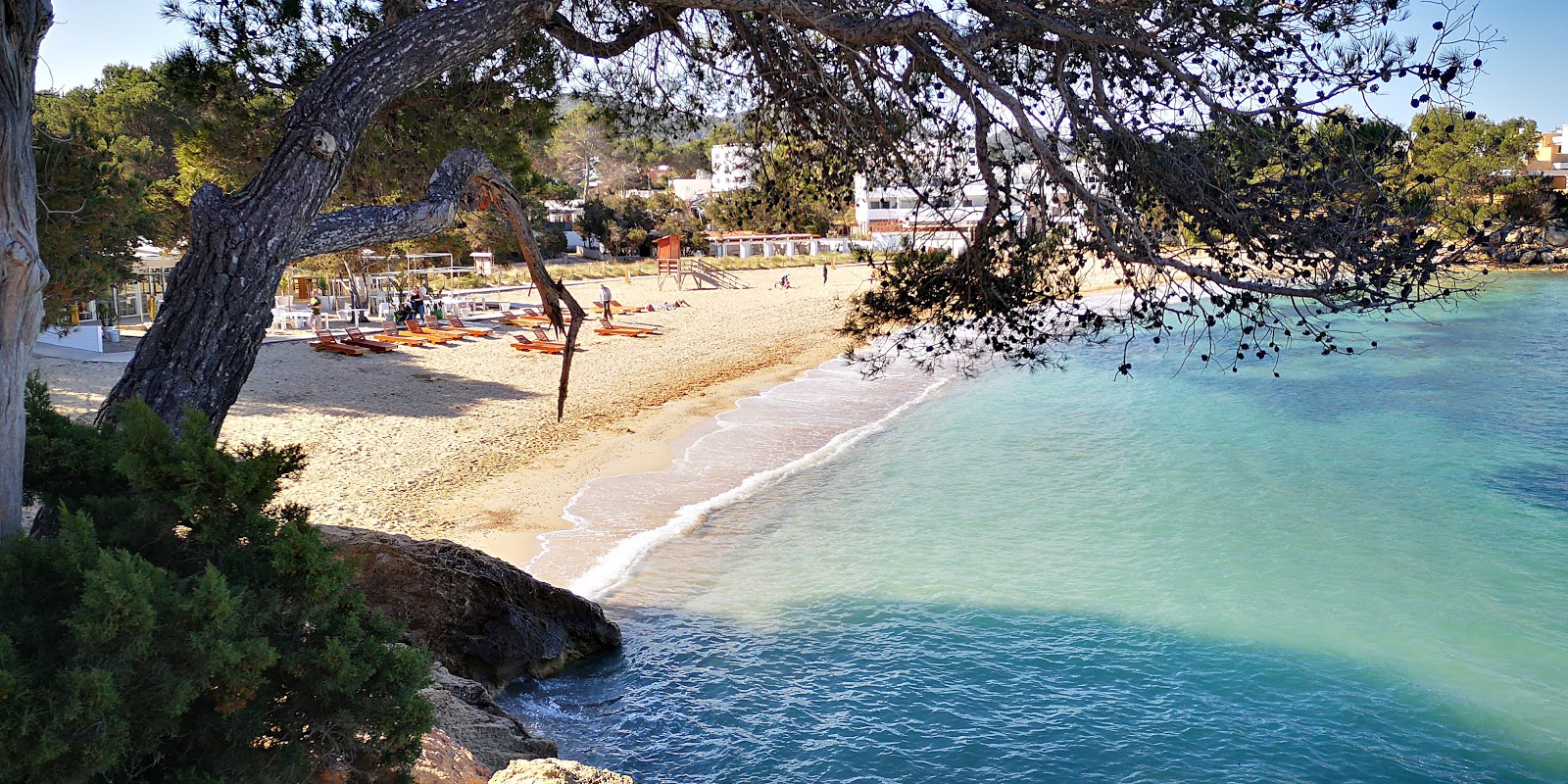 Foto de Alma Beach con brillante arena fina superficie