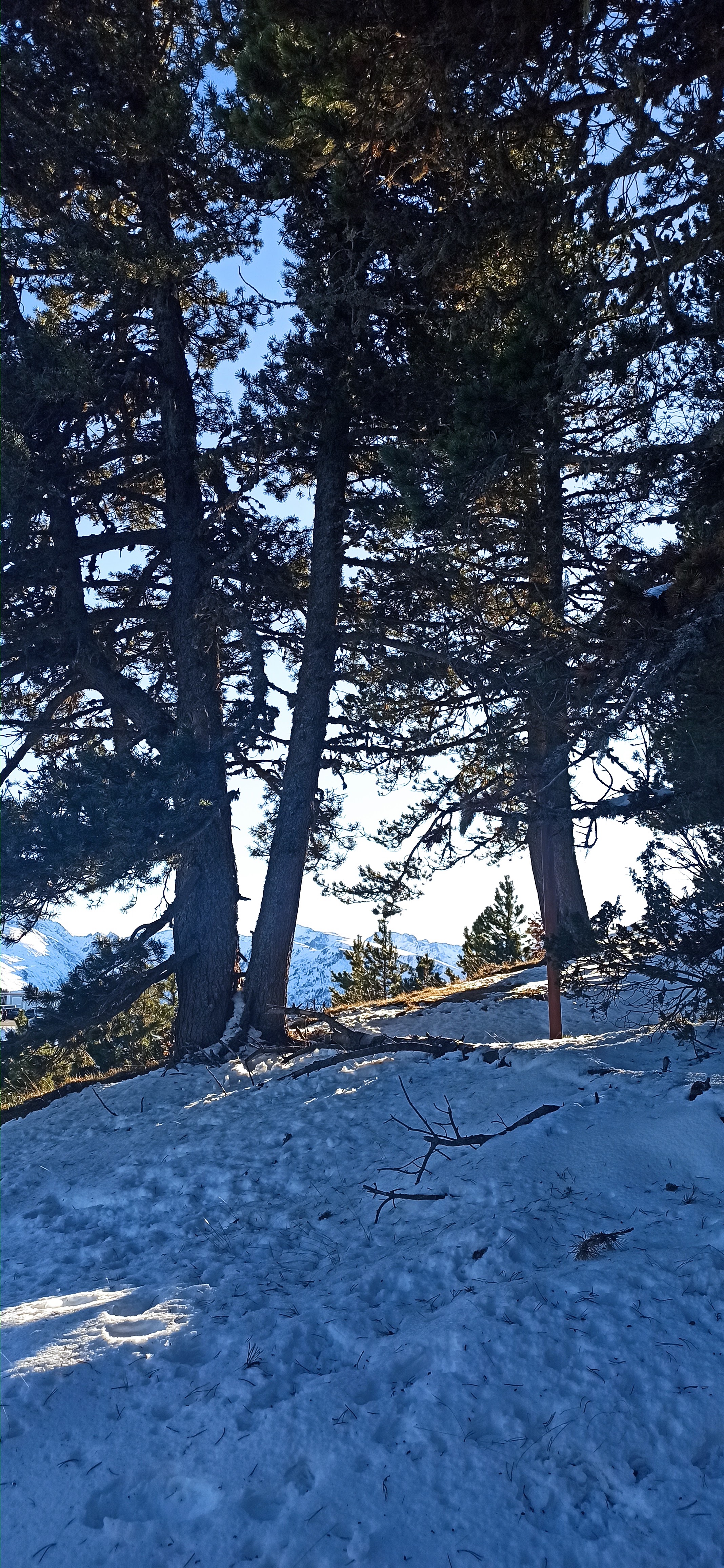 Photo n° 3 de l'avis de jeanne.u fait le 18/12/2023 à 16:41
