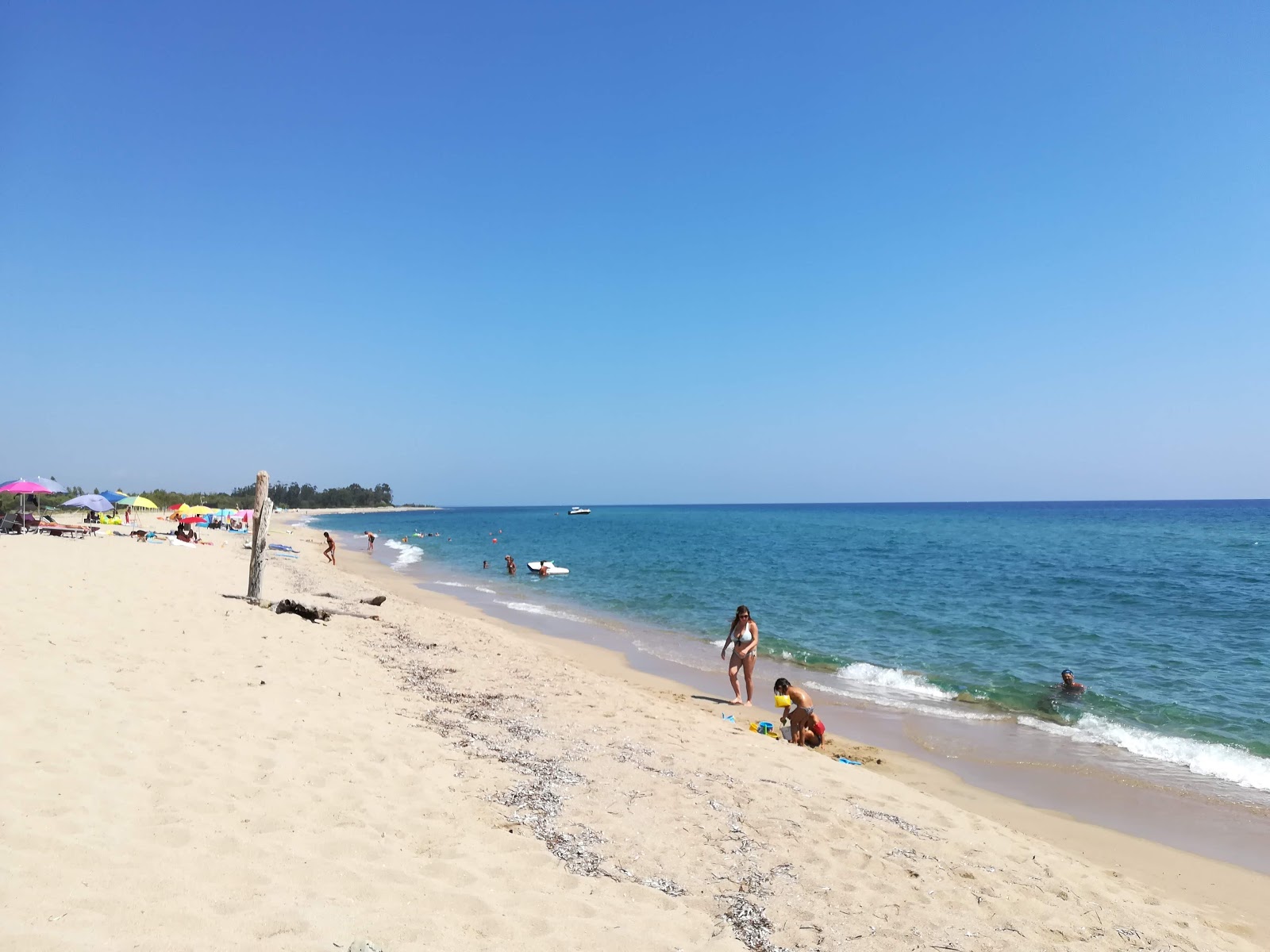 Photo de Marina Di Funtanaccia situé dans une zone naturelle