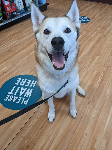 Pet Supply Store «All The Best Pet Care», reviews and photos, 1909 NW Market St, Seattle, WA 98107, USA