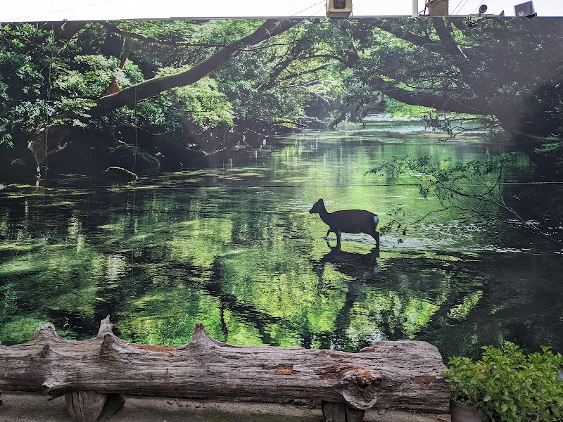 屋久島観光センター