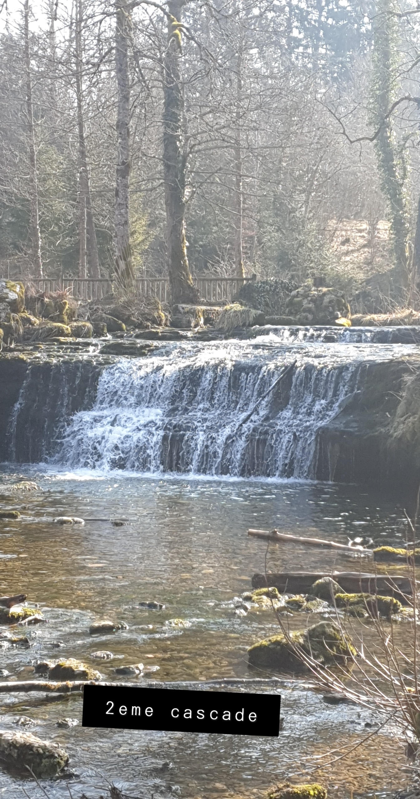 Photo n° 4 de l'avis de pirrera.o fait le 12/03/2021 à 07:17