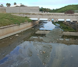 Zandvlei Estuary Nature Reserve photo