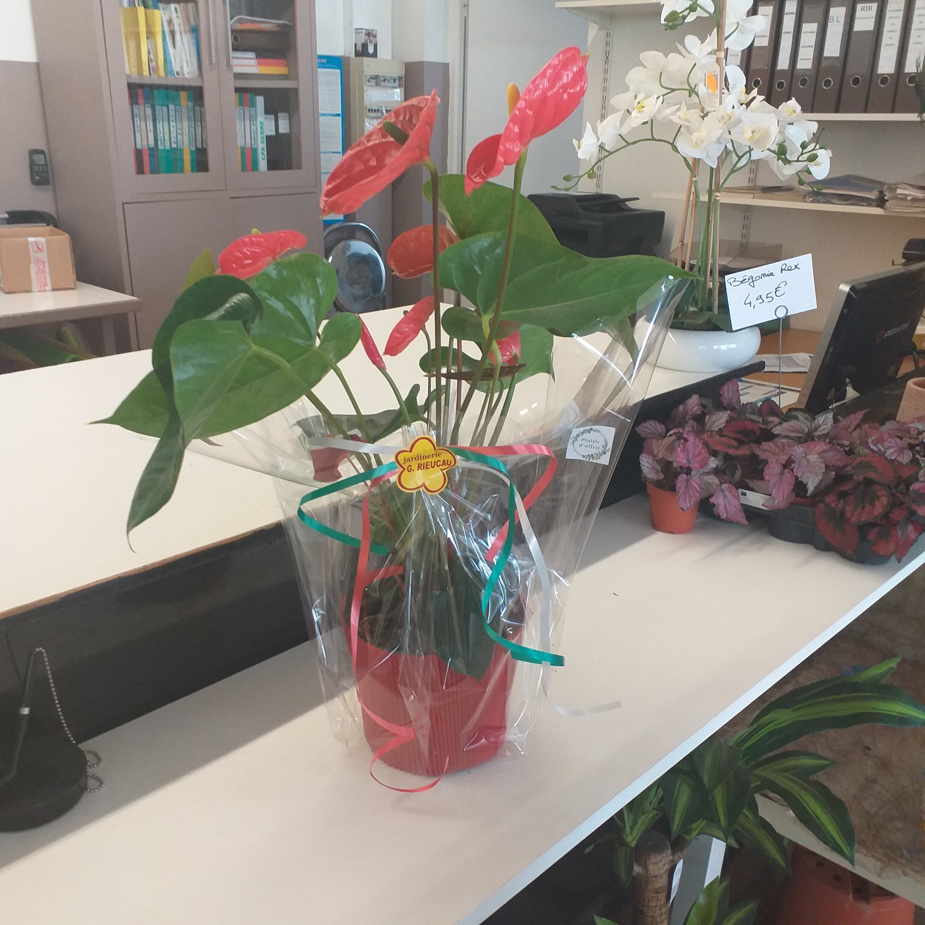 Photo n° 1 de l'avis de Agnes.a fait le 15/06/2023 à 14:59