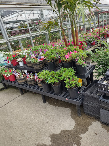 Plant Nursery «Blooming Acres», reviews and photos, 7561 State Rd, Wadsworth, OH 44281, USA