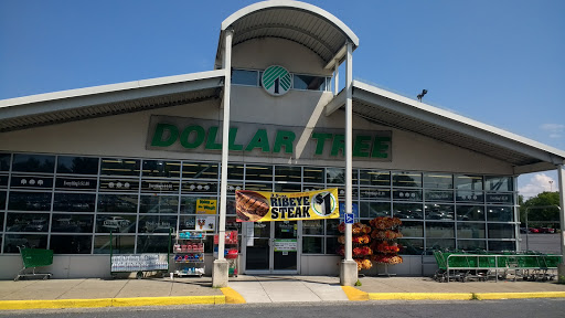 Dollar Tree