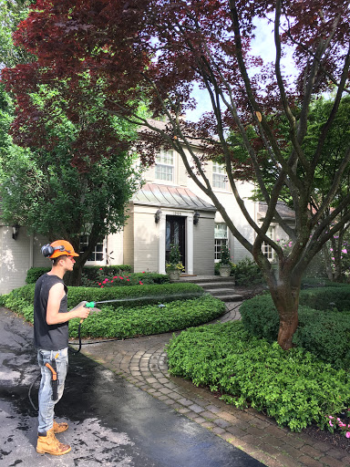 Tree Service «Polgar Tree Service & Removal LLC», reviews and photos