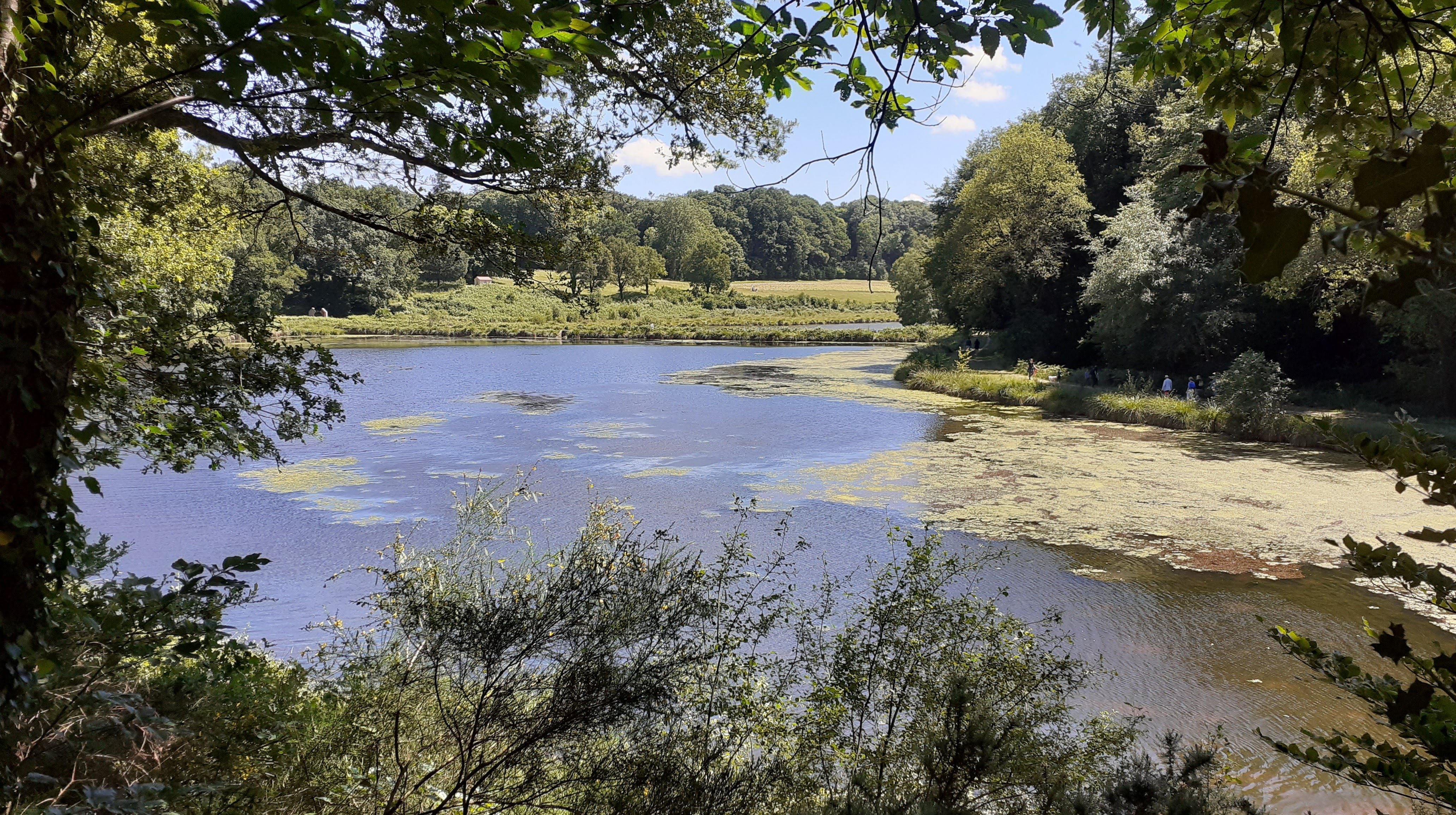 Photo n° 2 de l'avis de Breizh.b fait le 05/06/2022 à 17:47