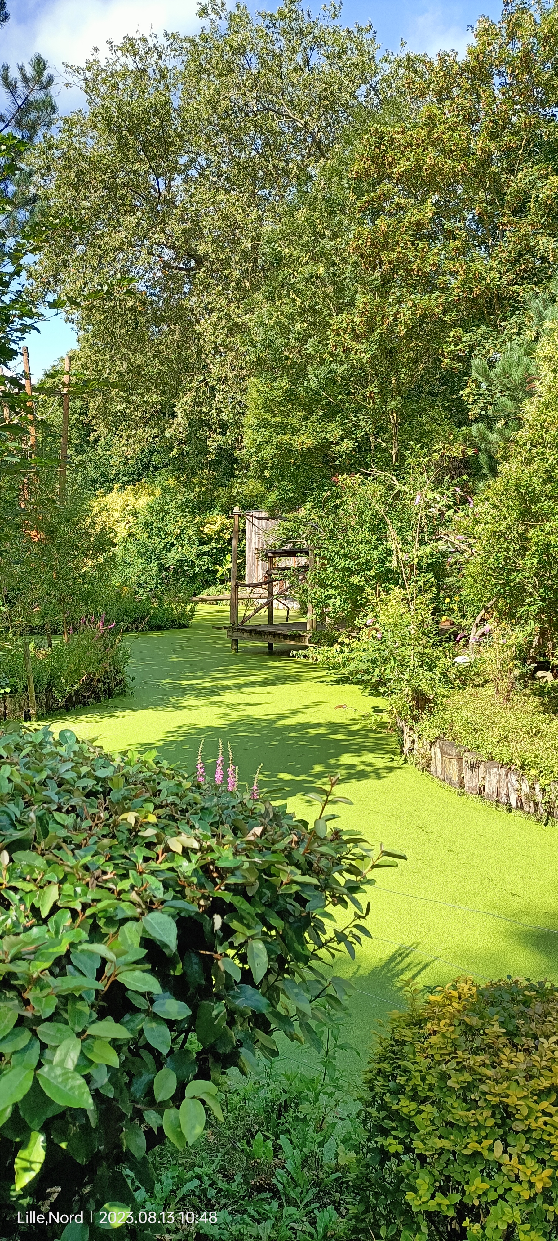 Photo n° 10 de l'avis de Chloe.r fait le 15/08/2023 à 11:04