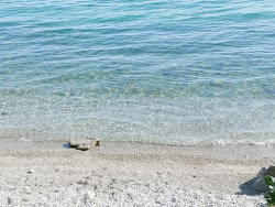 Zdjęcie Vrachakia beach obszar udogodnień