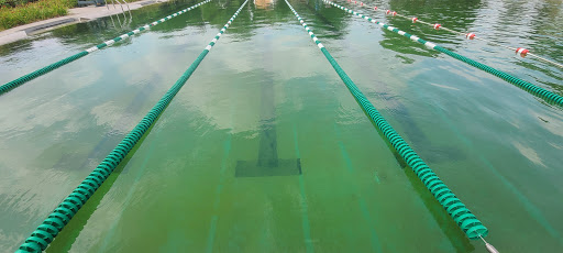 Park «Webber Park», reviews and photos, 4300 Webber Pkwy, Minneapolis, MN 55412, USA