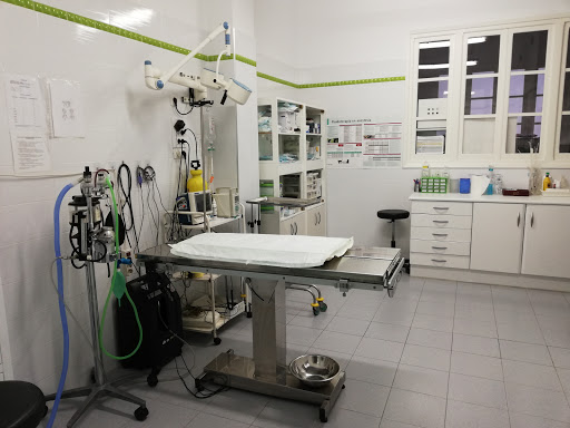 Clínica Veterinaria Raquel Guallart en Castellón de la Plana