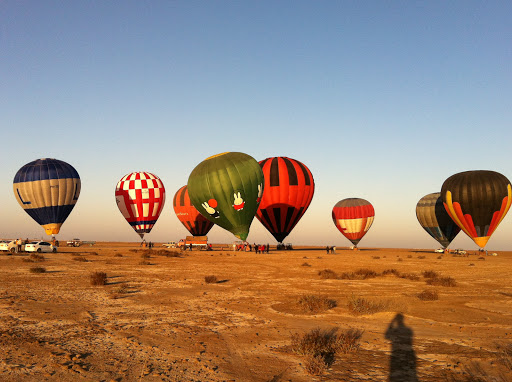 Tiger Balloon Safaris