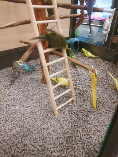 Shopping Mall «Pleasant Shops», reviews and photos, 35 Pleasant St, South Weymouth, MA 02190, USA