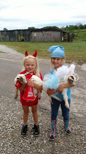 Farm «Benton Family Farm», reviews and photos, 11896 Old Lexington Pike, Walton, KY 41094, USA