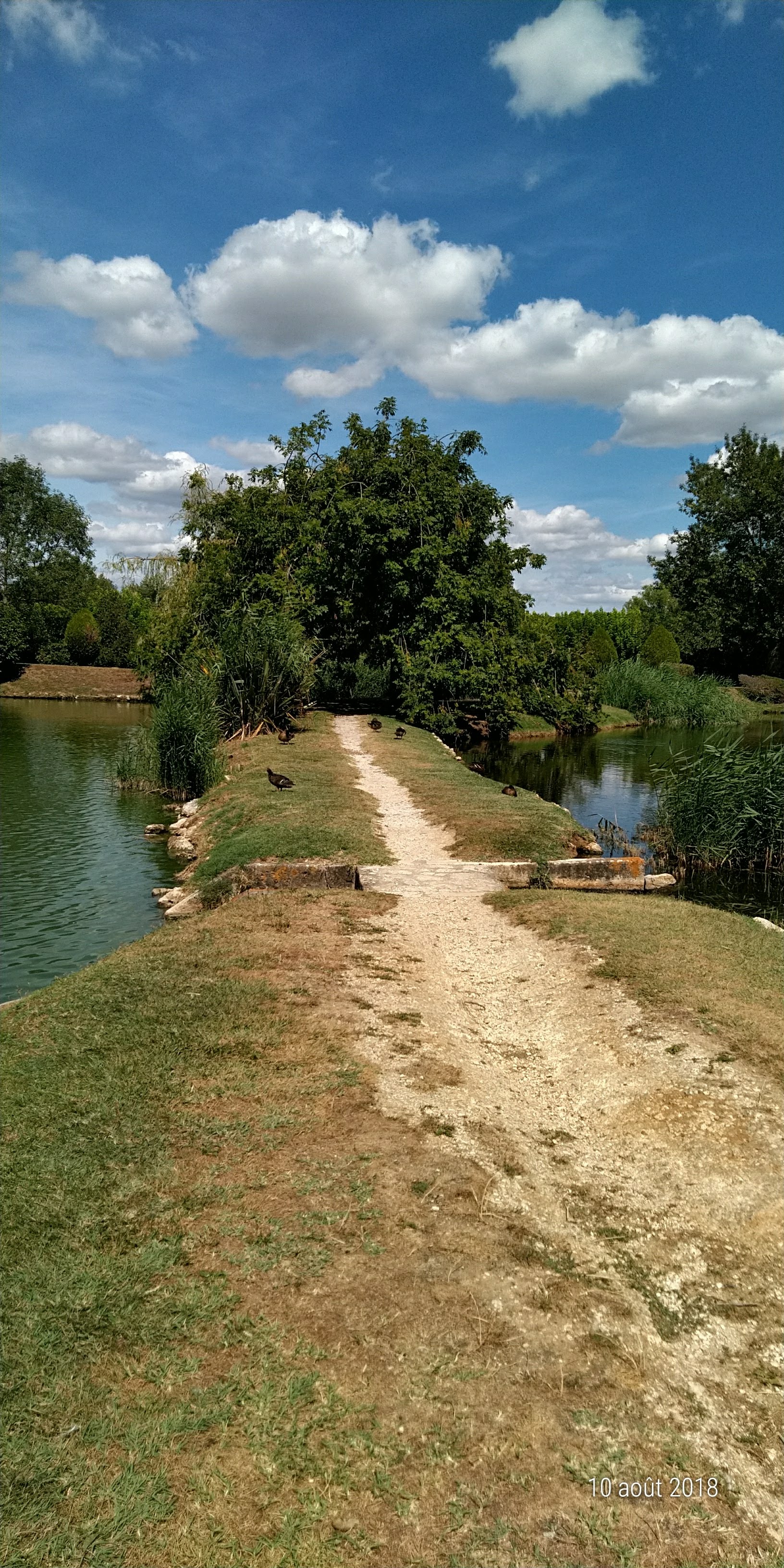 Photo n° 16 de l'avis de Famille.o fait le 13/08/2018 à 15:50