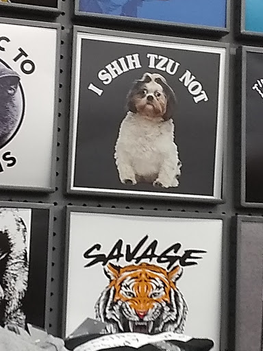 Variety Store «Five Below», reviews and photos, 11018 Parkside Dr, Knoxville, TN 37934, USA