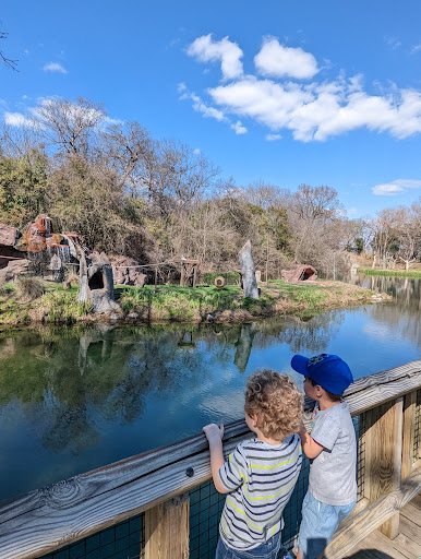 Zoo «Cameron Park Zoo», reviews and photos, 1701 N 4th St, Waco, TX 76707, USA