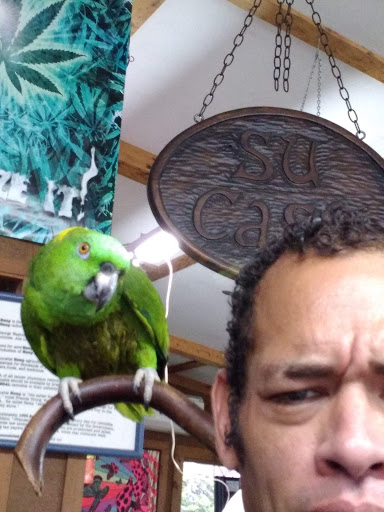 Boutique «Su Casa Boutique», reviews and photos, 1041 N Cedar St, Lansing, MI 48906, USA